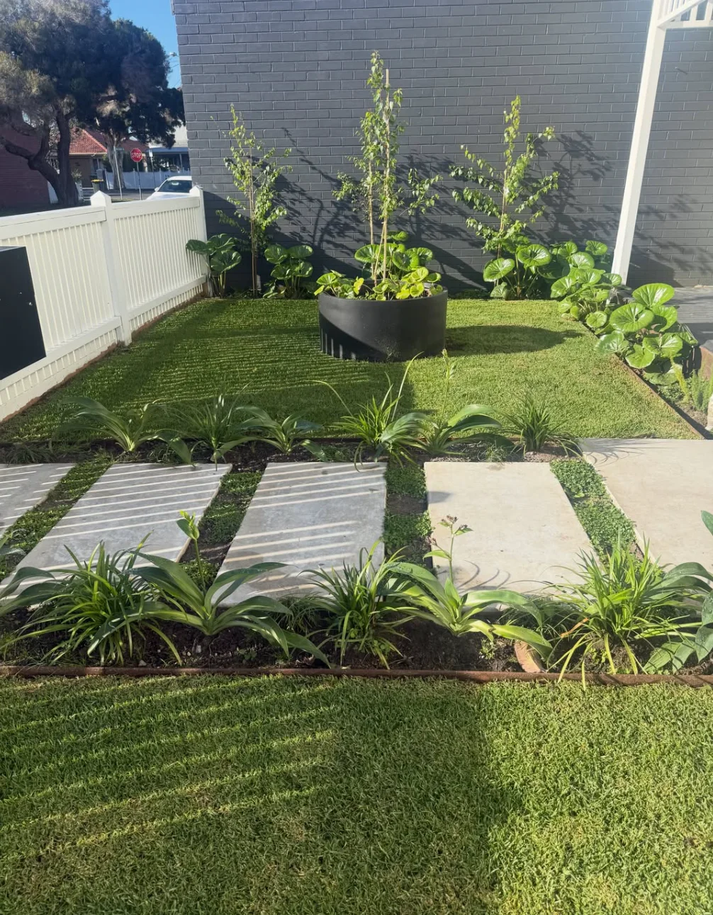 Modern Front Garden Design in Newport: A Fresh Start for a Tired Front Yard
